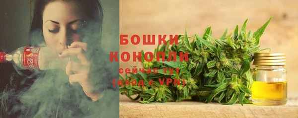 ешки Белокуриха
