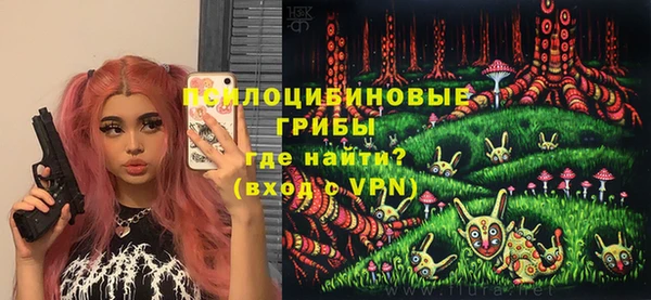 ешки Белокуриха