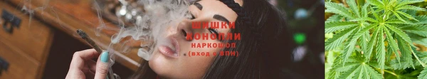 ешки Белокуриха