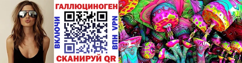 Псилоцибиновые грибы Psilocybine cubensis Ачхой-Мартан
